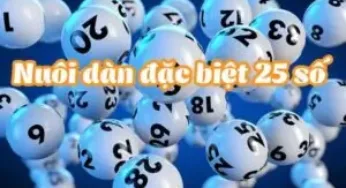 Kinh nghiệm nuôi dàn đề 25 số khung 5 ngày