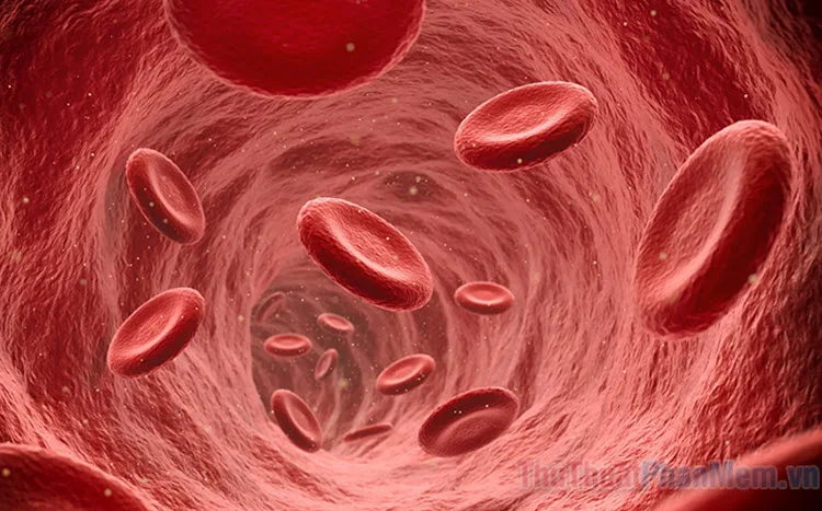 Mơ thấy máu và người chết mang điềm báo gì? Con số nào may mắn?