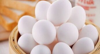 Khám phá ý nghĩa giấc mơ thấy trứng vịt chi tiết nhất