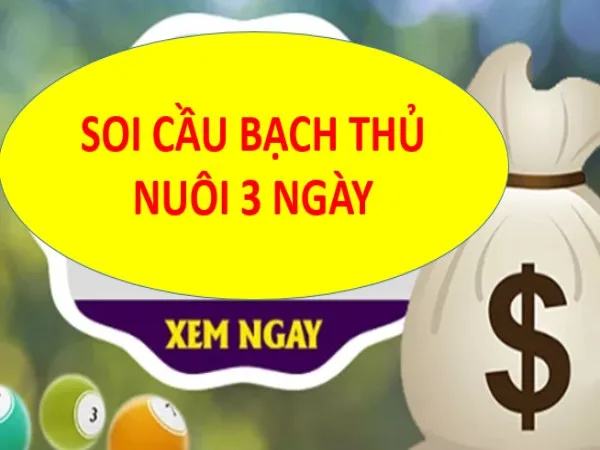 Nuôi Bạch Thủ Lô Khung 3 Ngày Bất Bại Miễn Phí Ăn Chắc