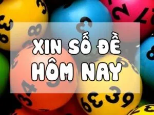 Số đề hôm nay ngày 29/12/2024 – Soi cầu đề đẹp hôm nay