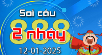 Soi Cầu 888 2 Nháy hôm nay ngày 12/01/2025