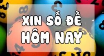 Số đề hôm nay ngày 19/02/2025 – Soi cầu đề đẹp hôm nay