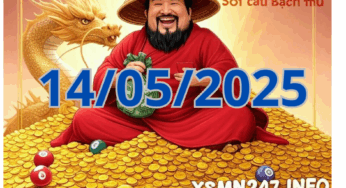 Kỹ Thuật Soi Cầu 247 – Bí Quyết Thành Công Từ Chuyên Gia ngày 14/05/2025